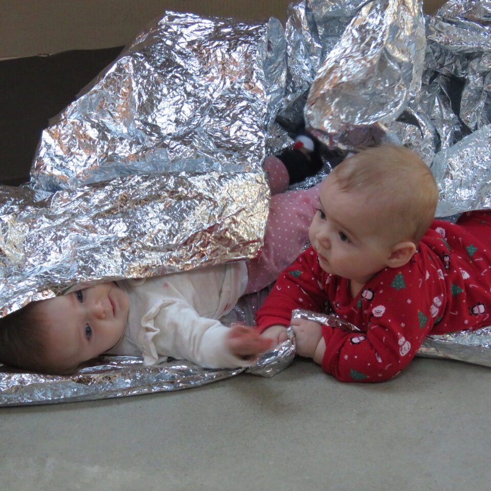 sprats baby activities hastings contemporary