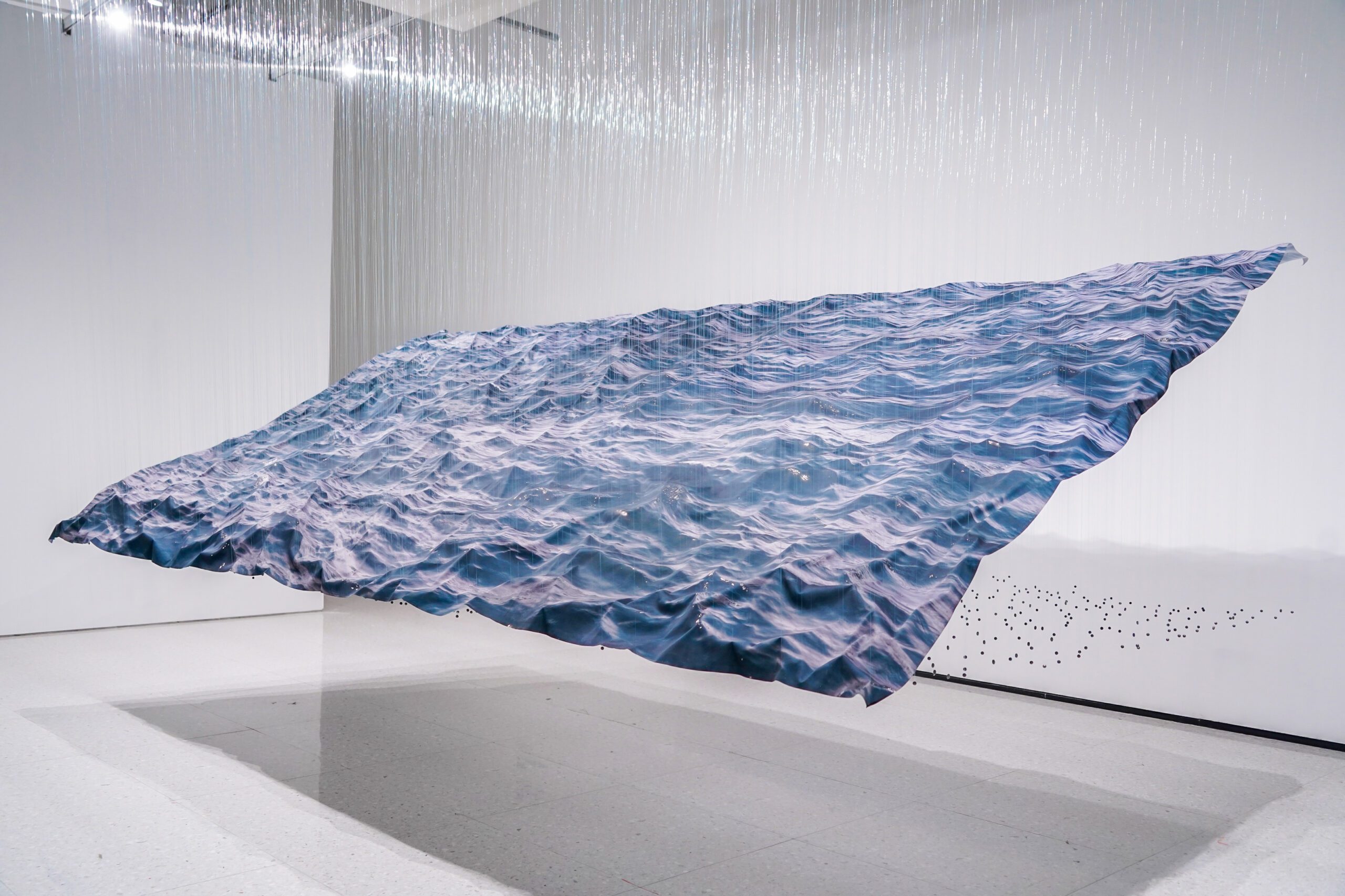 Miguel Rothschild - Hastings Contemporary